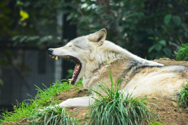 万年ぼっちの僕が語る 孤独であることの6つのメリット